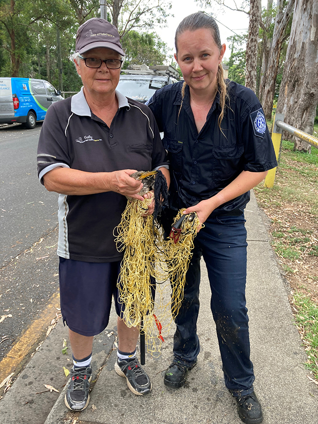 rescuers with entangled darter